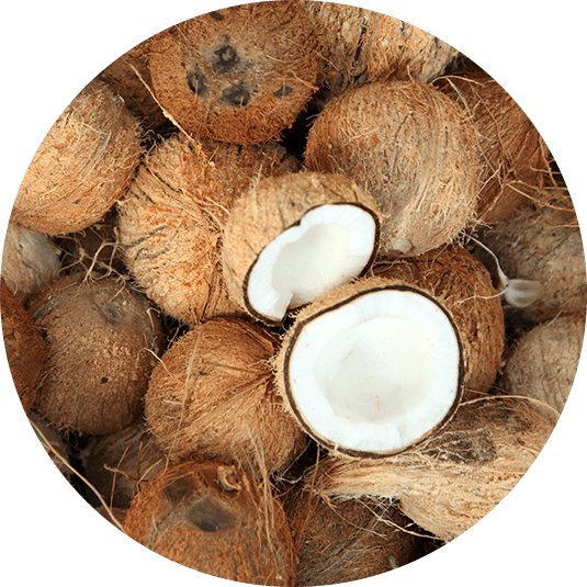 EXTRAIT DE NOIX DE COCO