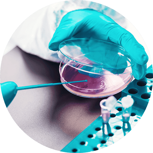 LARGE SCALE OF INTERNALIZED MICROBIAL AND PHYSICOCHEMICAL ANALYSIS