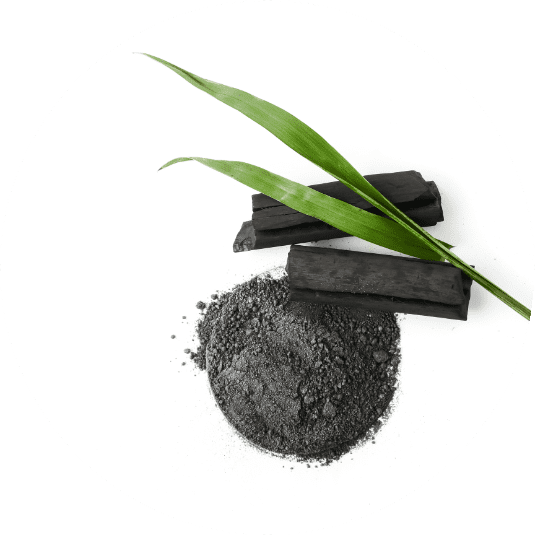 POUDRE DE CHARBON VÉGÉTAL