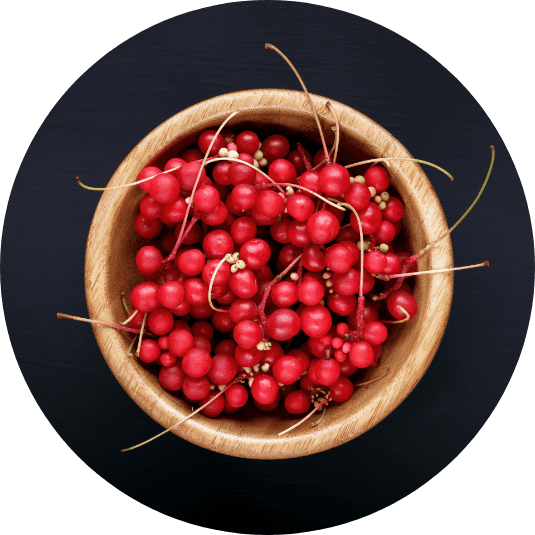 CALUS SCHISANDRA CHINENSIS