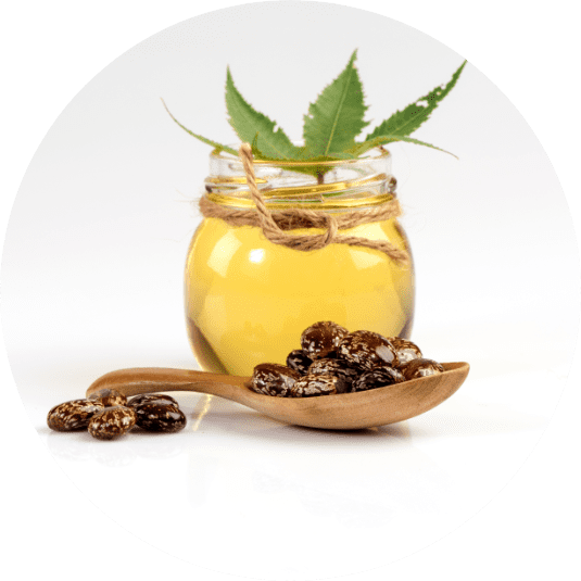 HUILE DES GRAINES DU RICIN COMMUN