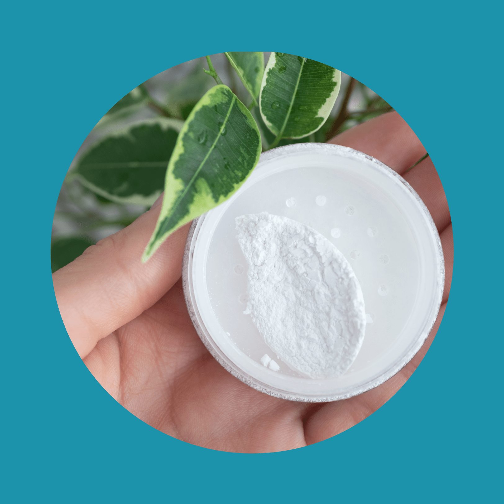 Round box of mineral powder in female palm in natural environment