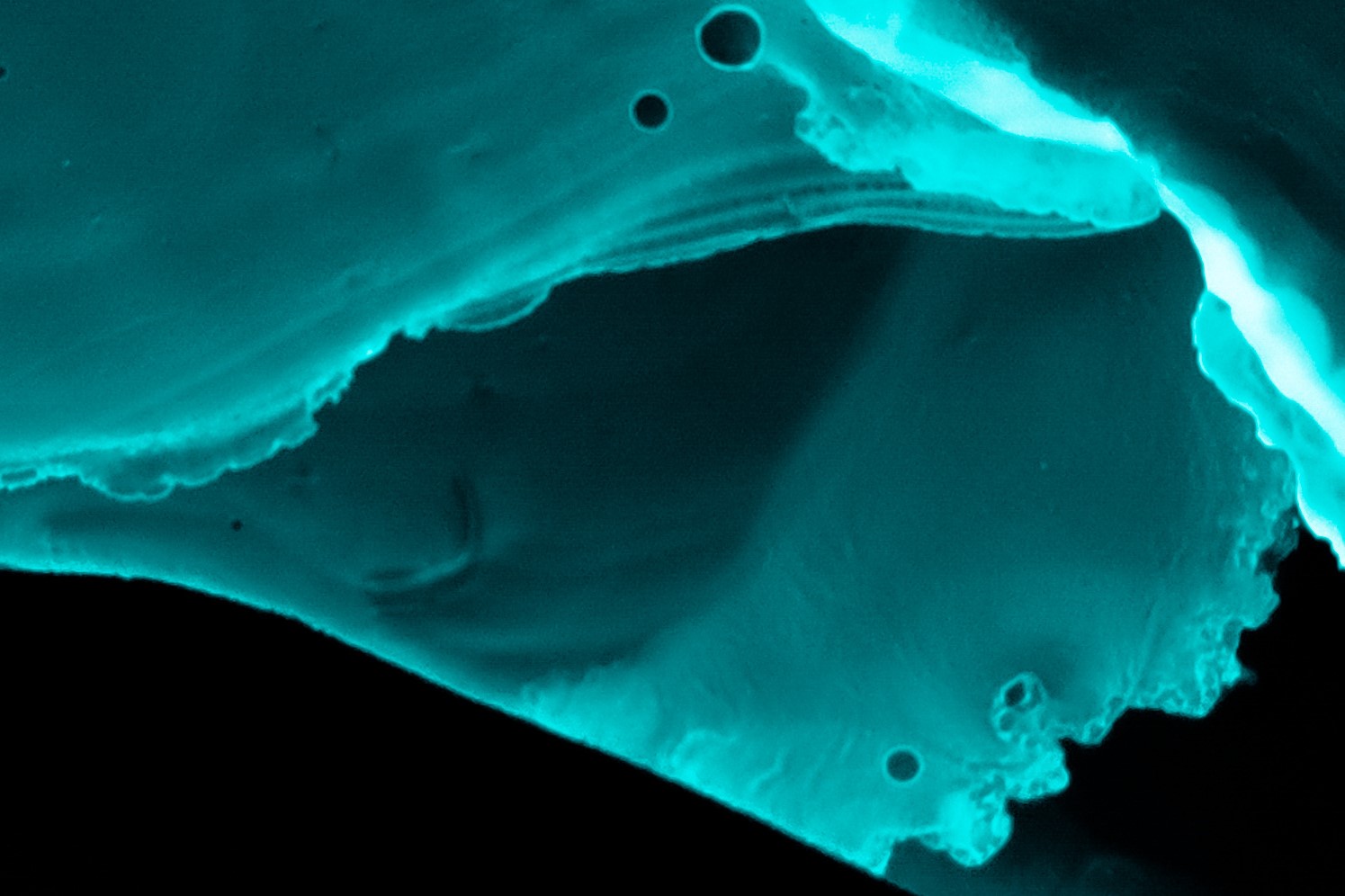 Xray Texture. Creative Splash. Liquid Pattern