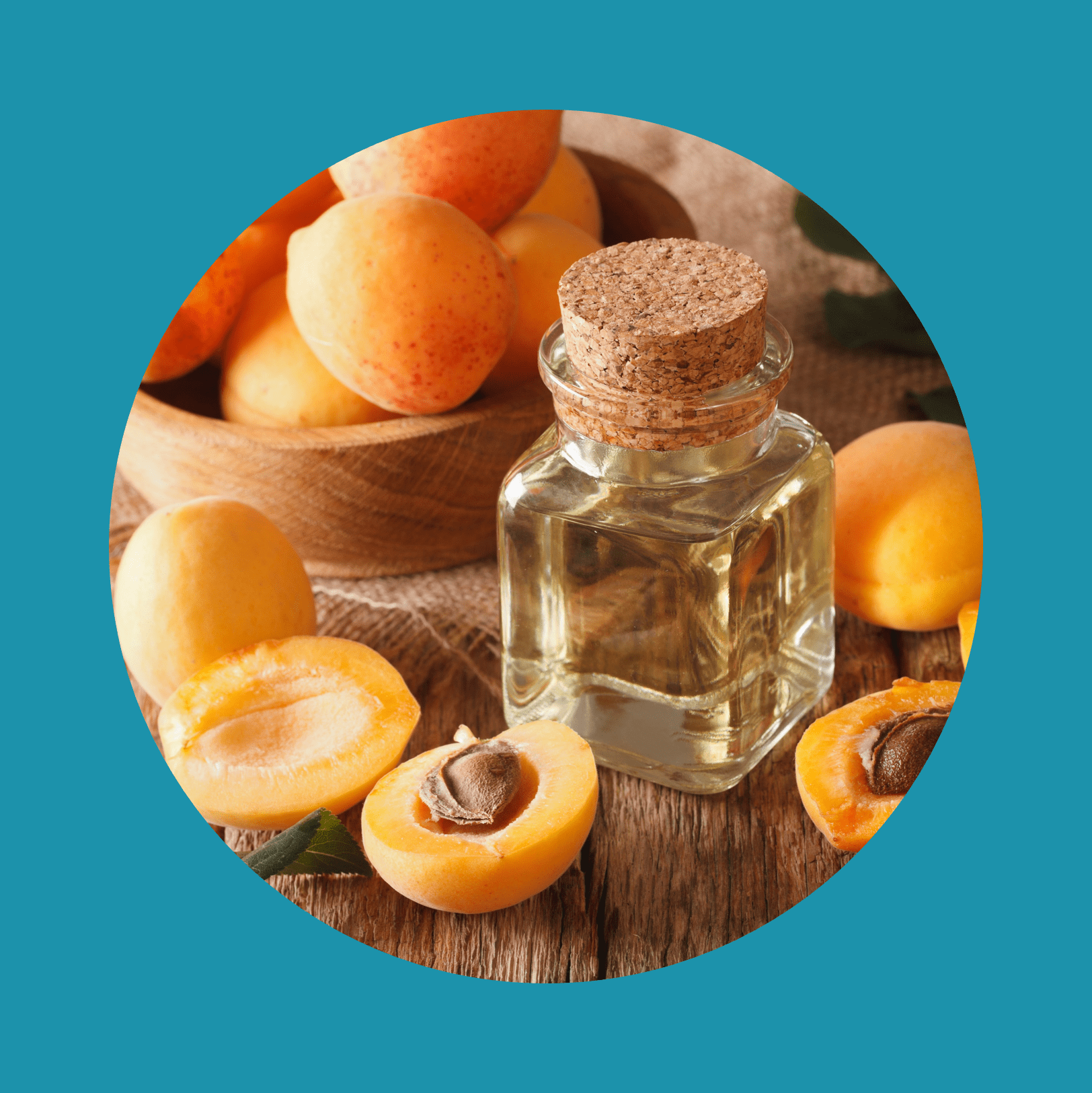 apricot kernel oil in a glass jar closeup and ingredients. Horizontal