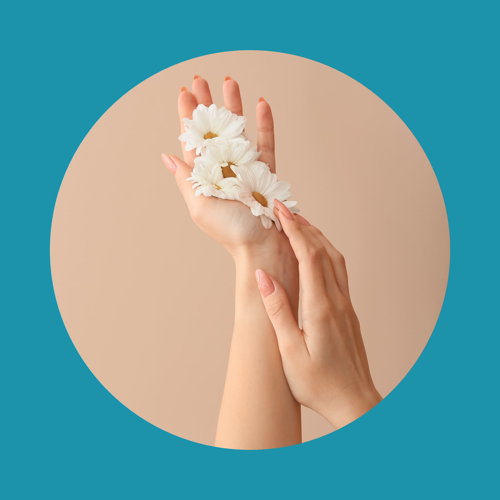 Hands of young woman with beautiful flowers on color background